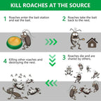 NoRoach™ Advanced Cockroach Killer Gel Powder (Pack of 24 Units)