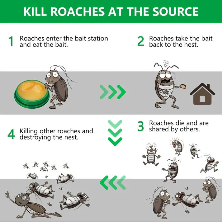 NoRoach™ Advanced Cockroach Killer Gel Powder (Pack of 24 Units)